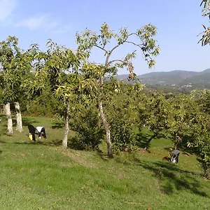 https://agriturismo-la-casina.it-tuscanyhotel.com